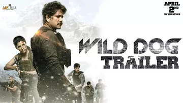 Yovvoyi it Hind kinosi Uzbek tilida 2021 O'zbekcha tarjima kino HD